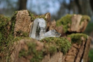 The Story Behind Lemurian Seed Crystals